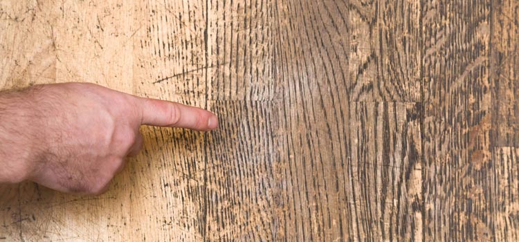 Wood Door Scratch Repair in Lincoln